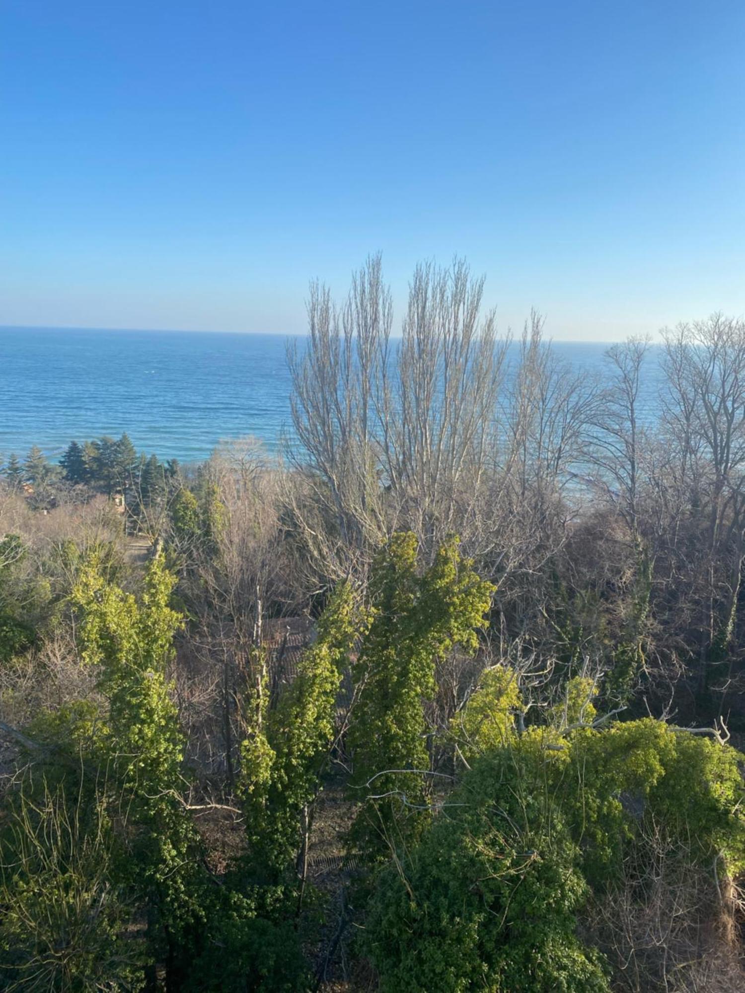 Queen'S Palace Balchik Apartment Esterno foto